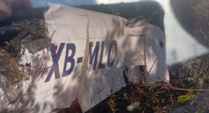 Desplome de aeronave en Jalisco: hay un sobrino del líder del Cártel de Tepalcatepec entre las víctimas