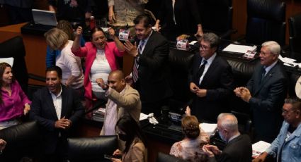 Senadores de Morena critican a la dirigencia del partido por no dejarlos buscar su reelección