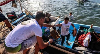 Habitantes de Guerrero realizan el primer torneo de pesca de basura para limpiar las playas de Acapulco tras el impacto de "Otis"