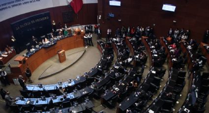 Alcaldesa de Chilpancingo acepta los resultados que la dejaron fuera de la contienda por una senaduría de Morena