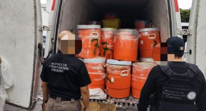 Sentencian en Estados Unidos a casi 19 años de prisión a un implicado en la importación de químicos para el CJNG