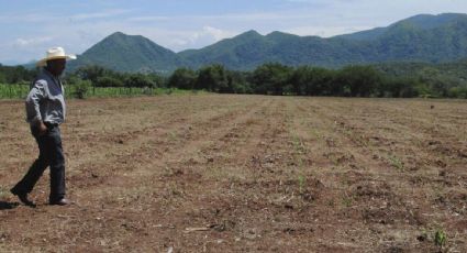 Declaran emergencia hídrica en Sonora por sequía en la mayoría de los municipios