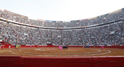 ¡De impacto mundial! El New York Times dedica su portada a la disputa por las corridas de toros en México