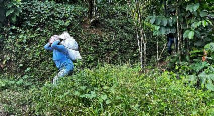 Advierten sobre reducción de jornaleros agrícolas en la frontera sur de México debido a migración motivada por la violencia y sequías