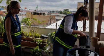 Se disparan los contagios por dengue en Latinoamérica; Brasil prevé 4.2 millones de casos este año