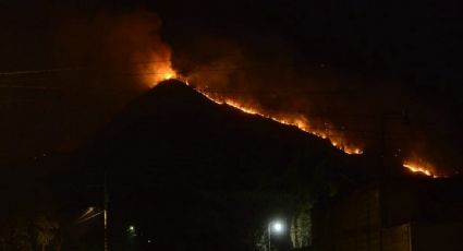 Van 18 estados afectados por incendios forestales; más de 3 mil hectáreas han resultado dañadas