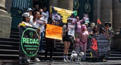 Activistas entregan pliego petitorio y más de 35 mil firmas al Congreso de la CDMX para prohibir las corridas de toros