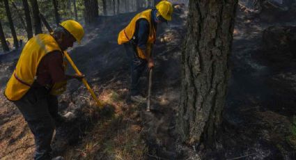 Hay 84 incendios activos en 20 estados del país; 14 están en áreas naturales protegidas