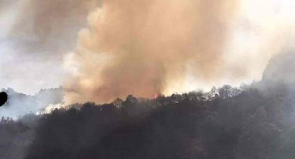 Registran nuevo incendio forestal en el municipio queretano de Cadereyta