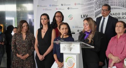 Senadoras demandan la destitución del juez del Edomex que absolvió al presunto abusador de una niña de cuatro años