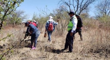 Colectivos hallan cinco cuerpos en fosas clandestinas del municipio michoacano de Jacona