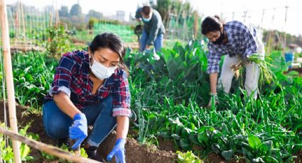 Los latinos en EU enfrentan barreras laborales y desigualdades salariales, revela estudio