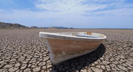 Los océanos han absorbido más del 90% del calentamiento global y enfrentan cambios irreversibles, advierte la OMM