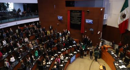 Senado aprueba la Ley de Amnistía que otorga al presidente la facultad de conceder indultos