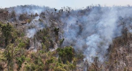 Reportan varios incendios en parque nacional de Acapulco; suspenden clases para el jueves