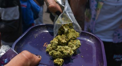 La DEA reclasificará a la marihuana como una droga menos peligrosa: AP