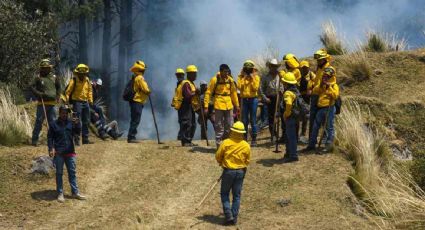 Aumentan a 33 mil 159 las hectáreas afectadas por los incendios forestales en el país; hay 73 activos