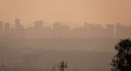 Continúa la fase 1 de la contingencia ambiental en el Valle de México; se mantienen medidas como el doble Hoy No Circula