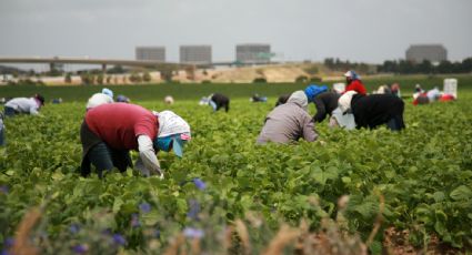 Tribunal de EU bloquea una ley de Florida que castiga a quien transporte a migrantes