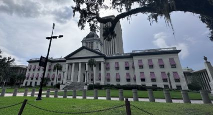 Grupos progresistas demandan a Florida por manipulación racial en la redistribución de distritos legislativos