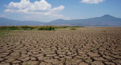 Aumentan las demandas en el mundo por el cambio climático: un tribunal latinoamericano juzga el mayor caso hasta la fecha