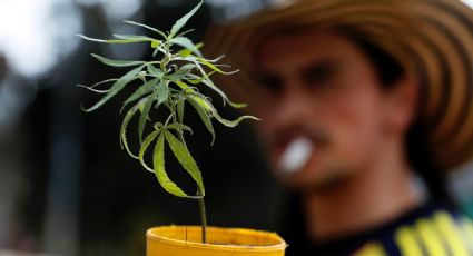 Venta legal de marihuana en estados de EU ha generado más de 20 mil mdd en impuestos en 10 años