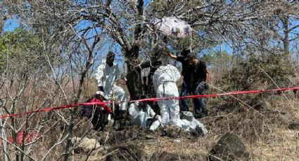 Encuentran los restos de 16 personas en fosas clandestinas del municipio michoacano de Jacona