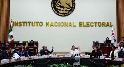 INE crea comisión temporal para proponer el anteproyecto del presupuesto 2025; sólo tres consejeros aceptaron integrarla, revela Taddei