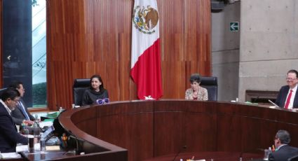 TEPJF alista proyecto de acuerdo para cumplir con el quórum legal en la calificación de la elección presidencial: magistrado Reyes Rodríguez