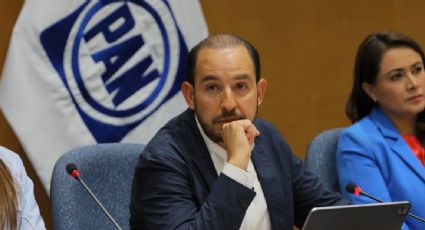 PAN exige al INE que acate las suspensiones judiciales y frene la elección de jueces