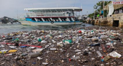 Contaminación afecta 18 playas en México: Cofepris alerta que no son aptas para uso recreativo