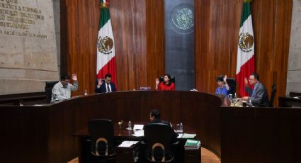 Van más de ocho mil impugnaciones en el Tribunal Electoral contra la supermayoría de Morena