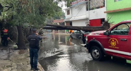 Habrá lluvias fuertes en al menos 12 estados y se espera la formación de torbellinos al norte de México