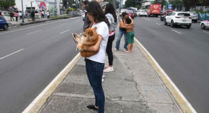 Hoy probarán la alerta sísmica en celulares con miras al simulacro nacional del 19 de septiembre