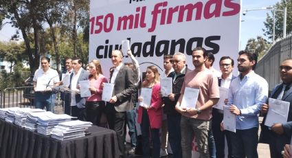 Entregan en el TEPJF "amicus curiae" con 150 mil firmas de respaldo contra mayoría calificada de Morena y aliados