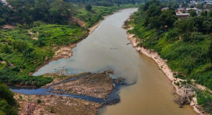 La Amazonía enfrenta una grave sequía que pone a ríos en niveles críticos y aumenta el riesgo de incendios