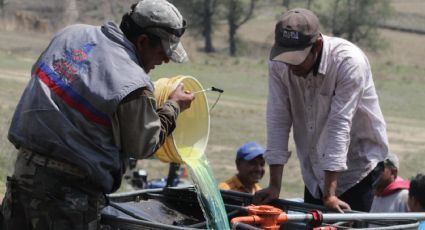 EU sanciona financieramente a operador del CJNG por “huachicol” y a 26 empresas vinculadas