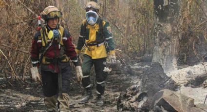 Incendios en Sudamérica alcanzan récord en 2024: sequía y cambio climático agravan la crisis