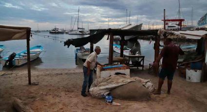 Autoridades de Los Cabos piden a los habitantes resguardarse ante el impacto de la tormenta tropical "Ileana"