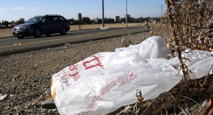 California promulga ley que prohíbe todas las bolsas de plástico en tiendas