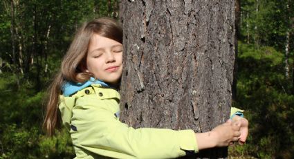 El gran poder de abrazar un árbol