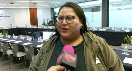 "Conoce de política": Andy López Beltrán tiene derecho a ser secretario de Morena, dice Citlalli Hernández