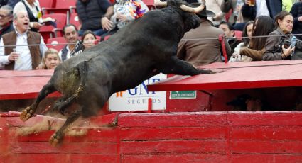 ¡Otro ‘Pajarito’! Un toro ‘vuela’ y casi llega a las gradas en corrida de la Plaza México; todo quedó en un susto