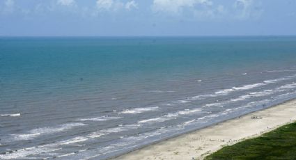 EU levanta restricciones a petroleras en el golfo de México; especies en peligro quedan sin protección