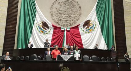 Diputada del PT exige poner fin a “silencio cómplice ante el genocidio” de Israel contra Palestina