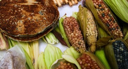 Productores de 20 estados preparan movilización nacional por crisis del campo