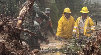 Más del 25% de los estados afectados por lluvias continúan sin energía eléctrica: CFE