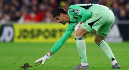 Ataja de todo: Thibaut Courtois, portero de Bélgica, intenta atrapar una rata en pleno partido de eliminatorias