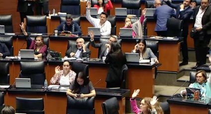 Senado adelanta discusión de la ley aduanera; se prevé un cambio en la minuta  