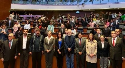 Ratifica Senado comisionados en órganos regulares de Telecom y Antimonopolio